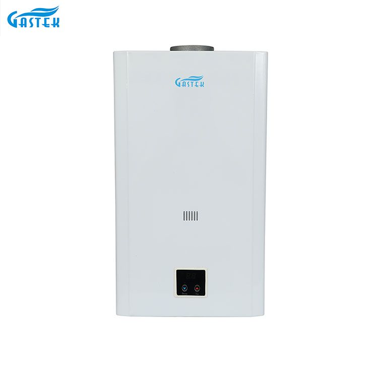 Temperatura costante 10L 12L 16L 18L Tipo di canna fumaria Pannello LCD Montaggio a parete Senza serbatoio GPL istantaneo Geyser a gas acqua calda naturale per doccia