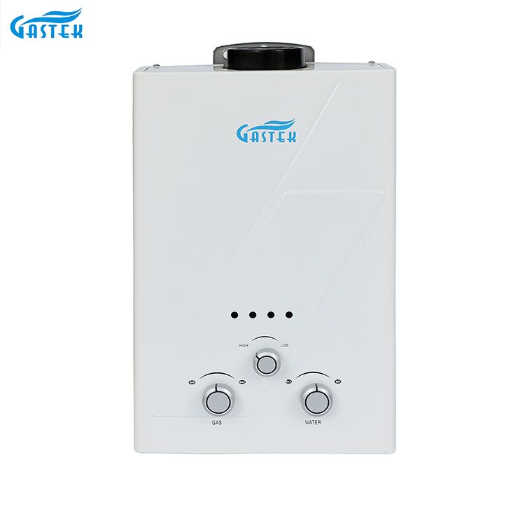 Geyser di gas istantaneo senza serbatoio GPL montato a parete 6L 10L 12L 16L 20L per doccia