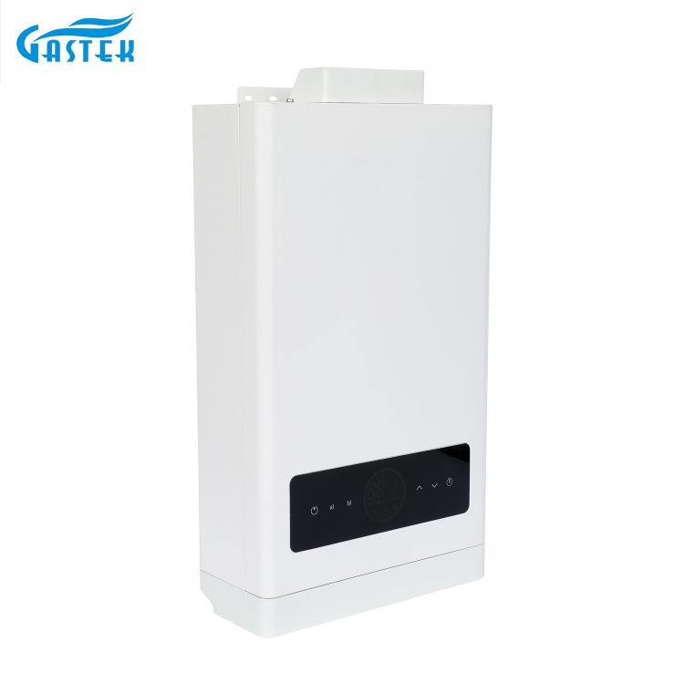 Display del pannello LCD a temperatura costante Scaldabagno a gas di tipo bilanciato con Turbo