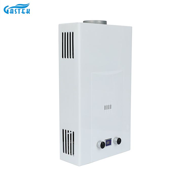 Tipo di canna di buona qualità 6L 8L 10L 12L 16L 18L 20L Sertless GLPG INSTATIVO Acqua calda Doccia geyser