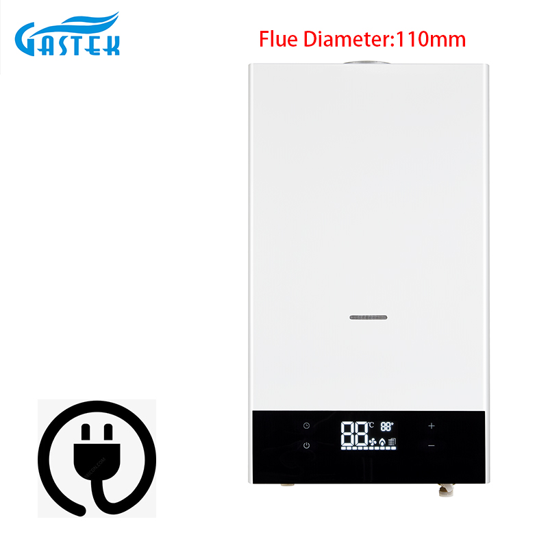 Controllo elettronico Temperatura costante 10L 12L Tipo di canna fumaria Scaldabagno a gas per acqua calda naturale senza serbatoio a parete istantaneo GPL per doccia