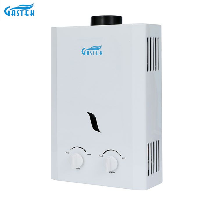 Geyser di gas istantaneo senza serbatoio GPL fissato al muro 6L 10L 12L 16L 20L per elettrodomestico per doccia
