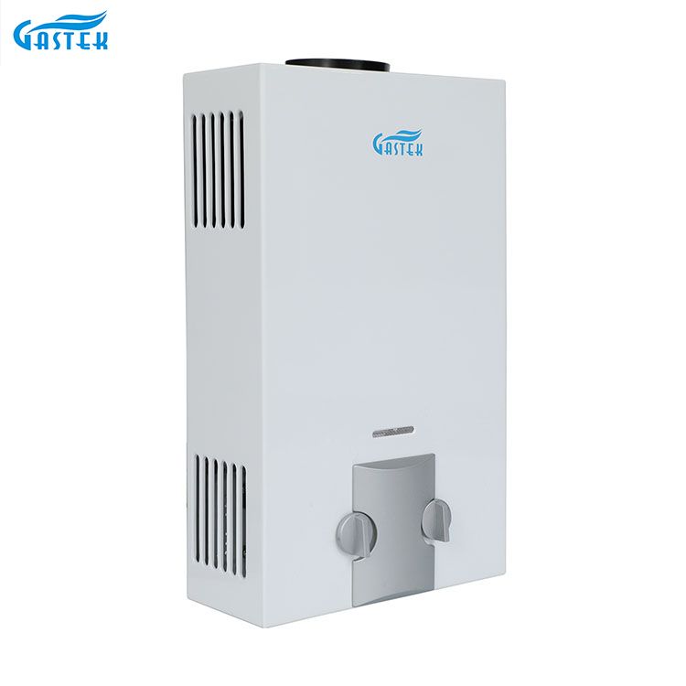 Fabbrica di elettrodomestici OEM ODM Tipo di canna fumaria Geyser di gas istantaneo senza serbatoio GPL montato a parete 6L 10L 12L 16L 20L per doccia