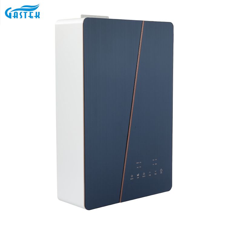 Sallo dello scaldacqua a gas domestico Temperatura costante Tipo forzato 12L Gas dimensione compatta per doccia per doccia